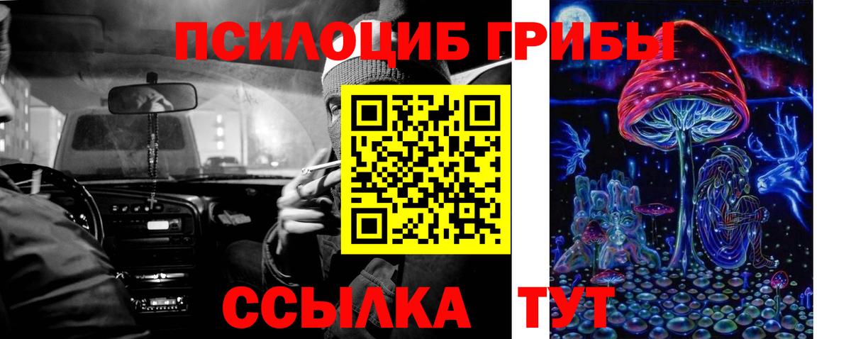 Галлюциногенные грибы прущие грибы Аргун