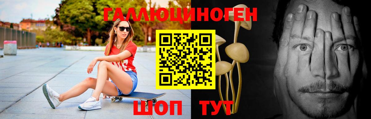 где продают наркотики  Вход с VPN  Псилоцибиновые грибы ЛСД  Аргун  Псилоцибиновые грибы Psilocybine cubensis 